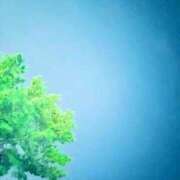 ヒメ日記 2025/12/08 20:44 投稿 みと 出会い系人妻ネットワーク 春日部〜岩槻編