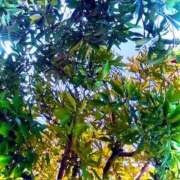 ヒメ日記 2025/12/11 20:14 投稿 みと 出会い系人妻ネットワーク 春日部〜岩槻編