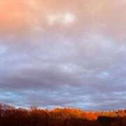 ヒメ日記 2025/12/14 20:24 投稿 みと 出会い系人妻ネットワーク 春日部〜岩槻編