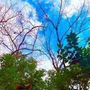 ヒメ日記 2025/12/15 20:14 投稿 みと 出会い系人妻ネットワーク 春日部〜岩槻編