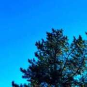 ヒメ日記 2025/12/18 20:34 投稿 みと 出会い系人妻ネットワーク 春日部〜岩槻編