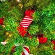 ヒメ日記 2025/12/20 20:14 投稿 みと 出会い系人妻ネットワーク 春日部〜岩槻編