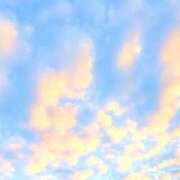 ヒメ日記 2025/12/22 05:24 投稿 みと 出会い系人妻ネットワーク 春日部〜岩槻編