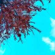 ヒメ日記 2025/12/26 06:54 投稿 みと 出会い系人妻ネットワーク 春日部〜岩槻編