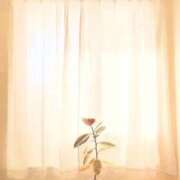 ヒメ日記 2025/12/29 11:34 投稿 みと 出会い系人妻ネットワーク 春日部〜岩槻編