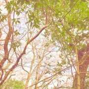 ヒメ日記 2025/12/30 18:44 投稿 みと 出会い系人妻ネットワーク 春日部〜岩槻編