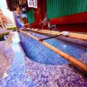 ヒメ日記 2025/12/31 13:44 投稿 みと 出会い系人妻ネットワーク 春日部〜岩槻編