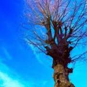 ヒメ日記 2025/12/31 19:04 投稿 みと 出会い系人妻ネットワーク 春日部〜岩槻編