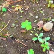 ヒメ日記 2026/01/01 17:54 投稿 みと 出会い系人妻ネットワーク 春日部〜岩槻編