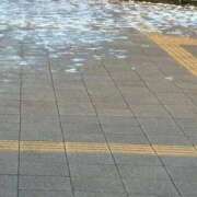 ヒメ日記 2026/01/03 09:06 投稿 みと 出会い系人妻ネットワーク 春日部〜岩槻編