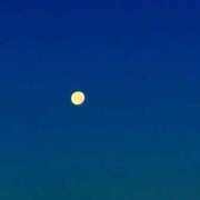 ヒメ日記 2026/01/06 05:24 投稿 みと 出会い系人妻ネットワーク 春日部〜岩槻編