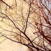 ヒメ日記 2026/01/10 19:14 投稿 みと 出会い系人妻ネットワーク 春日部〜岩槻編