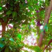 ヒメ日記 2026/01/11 17:34 投稿 みと 出会い系人妻ネットワーク 春日部〜岩槻編