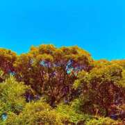 ヒメ日記 2026/01/17 20:14 投稿 みと 出会い系人妻ネットワーク 春日部〜岩槻編