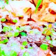 ヒメ日記 2026/01/22 19:04 投稿 みと 出会い系人妻ネットワーク 春日部〜岩槻編