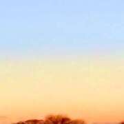 ヒメ日記 2026/01/23 05:34 投稿 みと 出会い系人妻ネットワーク 春日部〜岩槻編