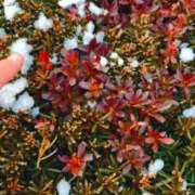 ヒメ日記 2026/02/08 21:04 投稿 みと 出会い系人妻ネットワーク 春日部〜岩槻編