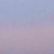 ヒメ日記 2026/02/10 05:24 投稿 みと 出会い系人妻ネットワーク 春日部〜岩槻編