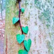 ヒメ日記 2026/02/14 21:34 投稿 みと 出会い系人妻ネットワーク 春日部〜岩槻編