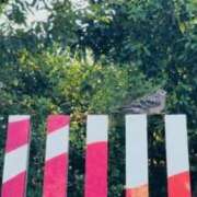 ヒメ日記 2026/02/23 09:14 投稿 みと 出会い系人妻ネットワーク 春日部〜岩槻編