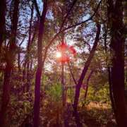 ヒメ日記 2026/02/26 19:14 投稿 みと 出会い系人妻ネットワーク 春日部〜岩槻編