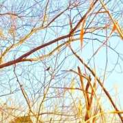 ヒメ日記 2026/02/27 20:14 投稿 みと 出会い系人妻ネットワーク 春日部〜岩槻編