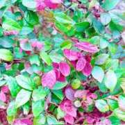 ヒメ日記 2026/02/28 21:24 投稿 みと 出会い系人妻ネットワーク 春日部〜岩槻編