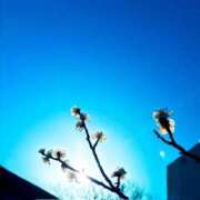 ヒメ日記 2026/03/01 20:34 投稿 みと 出会い系人妻ネットワーク 春日部〜岩槻編