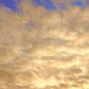 ヒメ日記 2026/03/03 05:25 投稿 みと 出会い系人妻ネットワーク 春日部〜岩槻編