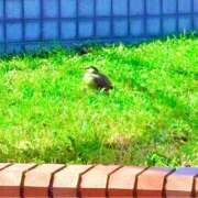 ヒメ日記 2026/03/09 20:14 投稿 みと 出会い系人妻ネットワーク 春日部〜岩槻編
