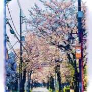 ヒメ日記 2026/03/31 20:34 投稿 みと 出会い系人妻ネットワーク 春日部〜岩槻編