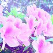 ヒメ日記 2026/04/26 20:14 投稿 みと 出会い系人妻ネットワーク 春日部〜岩槻編