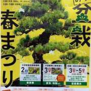 ヒメ日記 2026/04/30 19:44 投稿 みと 出会い系人妻ネットワーク 春日部〜岩槻編