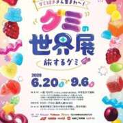 ヒメ日記 2026/05/04 12:44 投稿 みと 出会い系人妻ネットワーク 春日部〜岩槻編