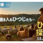 ヒメ日記 2026/05/06 12:44 投稿 みと 出会い系人妻ネットワーク 春日部〜岩槻編