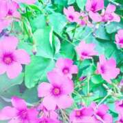 ヒメ日記 2026/05/11 20:14 投稿 みと 出会い系人妻ネットワーク 春日部〜岩槻編