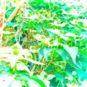 ヒメ日記 2026/05/29 20:04 投稿 みと 出会い系人妻ネットワーク 春日部〜岩槻編