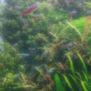 ヒメ日記 2025/04/05 19:47 投稿 咲良 出会い系人妻ネットワーク 上野〜大塚編