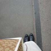 ヒメ日記 2025/05/24 06:53 投稿 咲良 出会い系人妻ネットワーク 上野〜大塚編