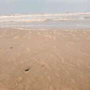 ヒメ日記 2025/05/25 09:11 投稿 咲良 出会い系人妻ネットワーク 上野〜大塚編