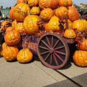 ヒメ日記 2025/09/26 19:58 投稿 咲良 出会い系人妻ネットワーク 上野〜大塚編