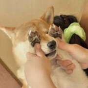 ヒメ日記 2025/04/29 21:36 投稿 せりか 新潟市鳥屋野潟ちゃんこ