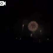 ヒメ日記 2025/08/02 16:56 投稿 せりか 新潟市鳥屋野潟ちゃんこ