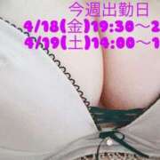 ヒメ日記 2025/04/16 19:43 投稿 るい いわき小名浜ちゃんこ