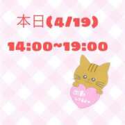 ヒメ日記 2025/04/19 08:53 投稿 るい いわき小名浜ちゃんこ