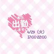 ヒメ日記 2025/04/29 11:09 投稿 るい いわき小名浜ちゃんこ