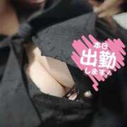 ヒメ日記 2025/07/27 13:43 投稿 るい いわき小名浜ちゃんこ