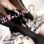 ヒメ日記 2025/09/21 00:14 投稿 るい いわき小名浜ちゃんこ