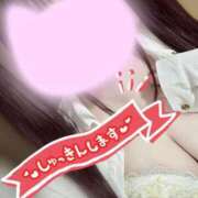 ヒメ日記 2026/02/13 08:03 投稿 るい いわき小名浜ちゃんこ