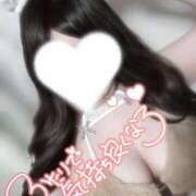 ヒメ日記 2026/02/27 07:13 投稿 るい いわき小名浜ちゃんこ